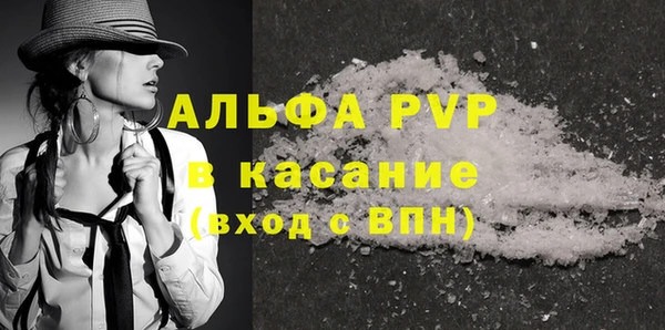 ешки Белокуриха
