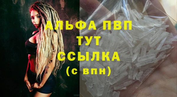 ешки Белокуриха