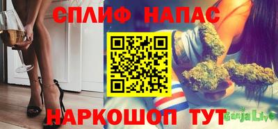 шишки Апшеронск