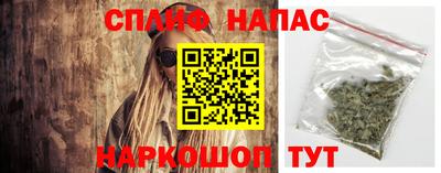 шишки Апшеронск