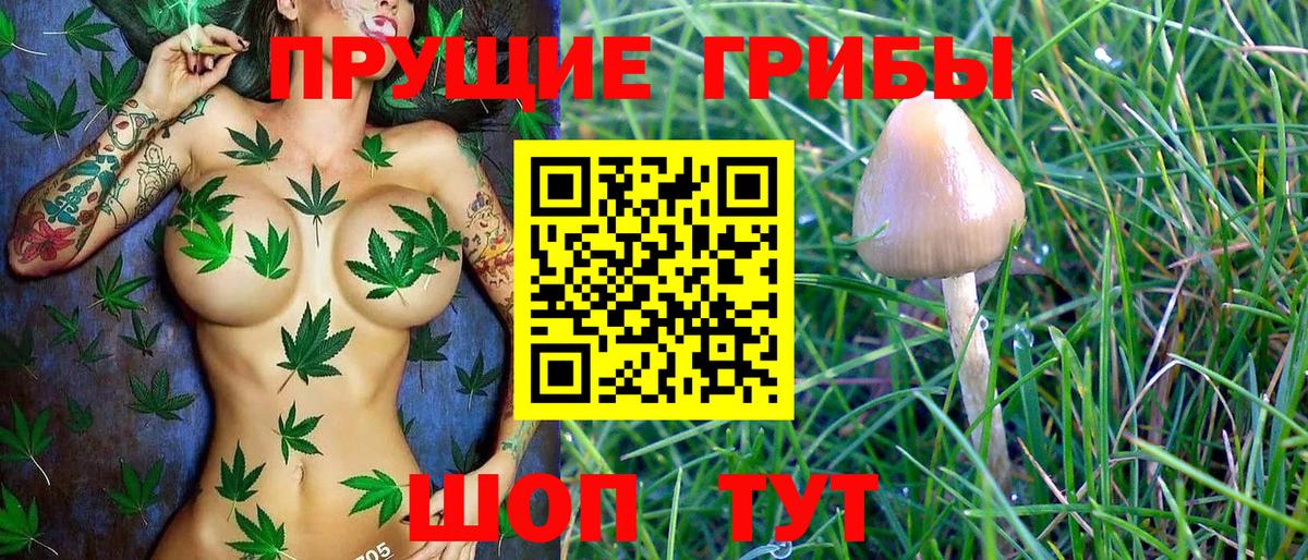 Галлюциногенные грибы ЛСД Борзя