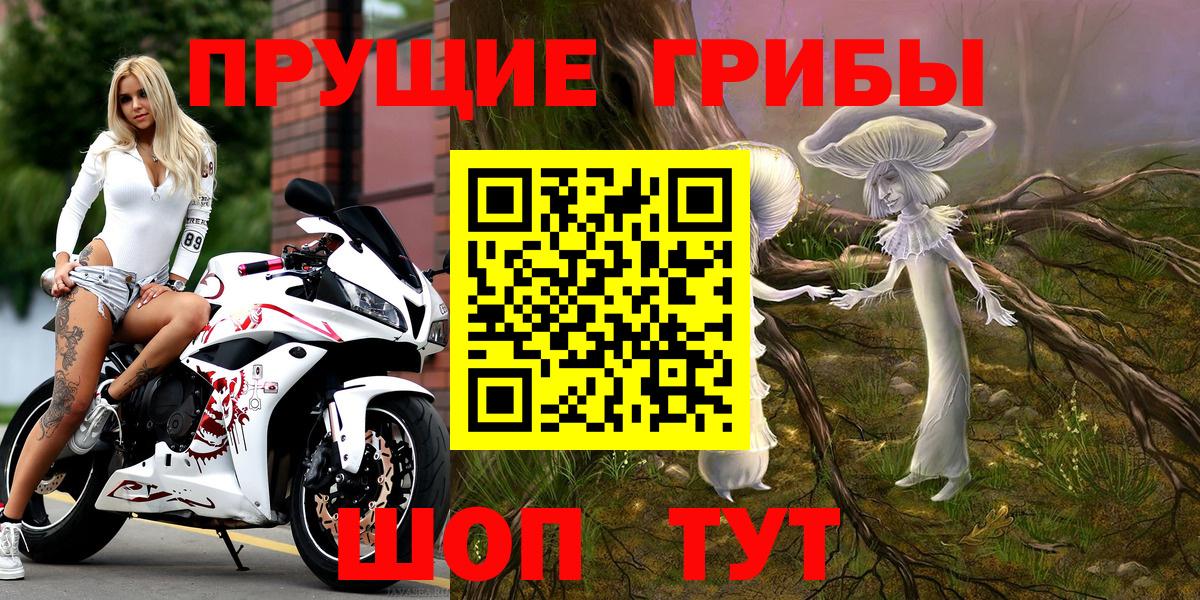 Псилоцибиновые грибы Psilocybe  Вход с VPN  купить наркотик  Борзя 